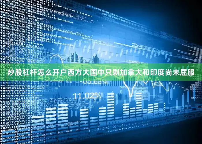 炒股杠杆怎么开户西方大国中只剩加拿大和印度尚未屈服