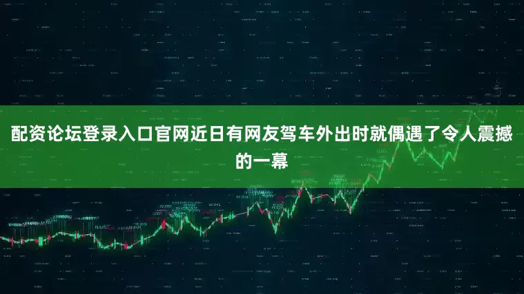 配资论坛登录入口官网近日有网友驾车外出时就偶遇了令人震撼的一幕