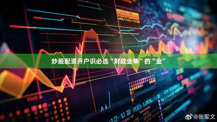炒股配资开户识必选　　“财政金隼”的“金”